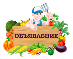 Объявление